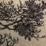 Regarding Dürer Once More